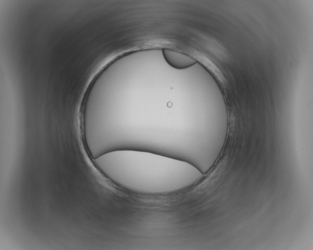 X0000110981047200906191046