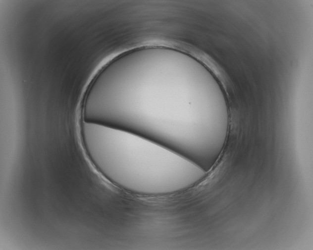 X0000110981048200906191046