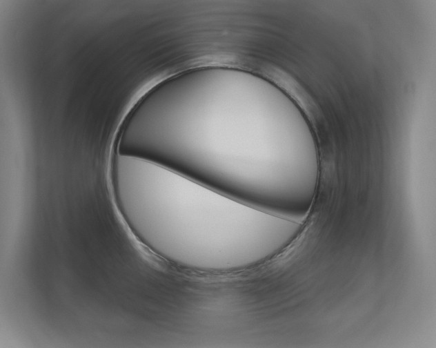 X0000110981050200906191046