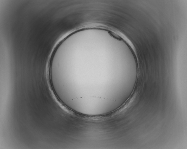 X0000110981053200906191046