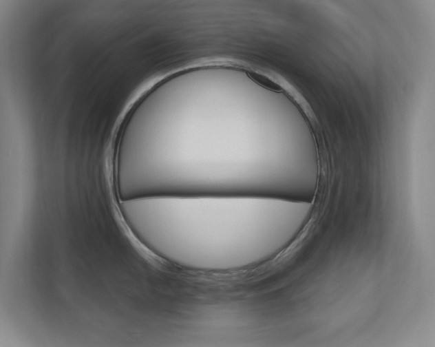 X0000110981054200906191046