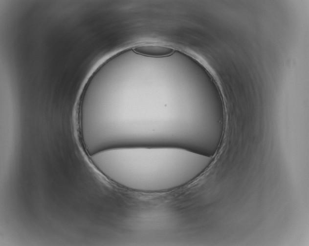 X0000110981056200906191046