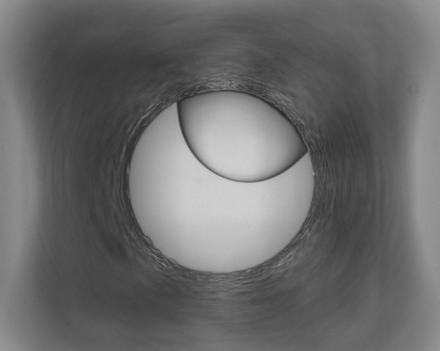 X0000110981057200906191046