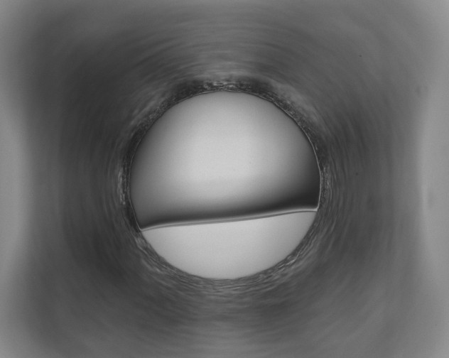 X0000110981060200906191046