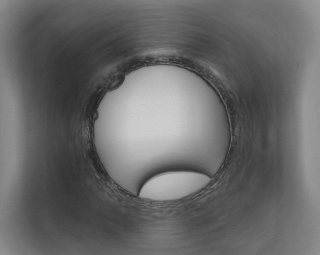 X0000110981062200906191046