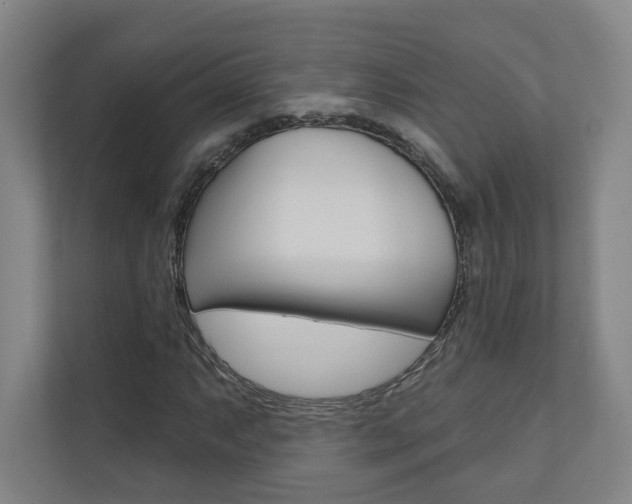 X0000110981063200906191046