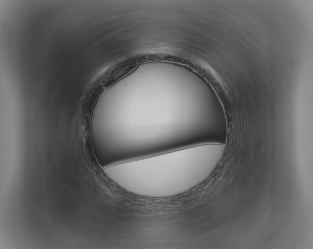 X0000110981064200906191046