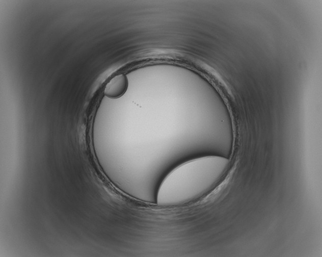 X0000110981066200906191046