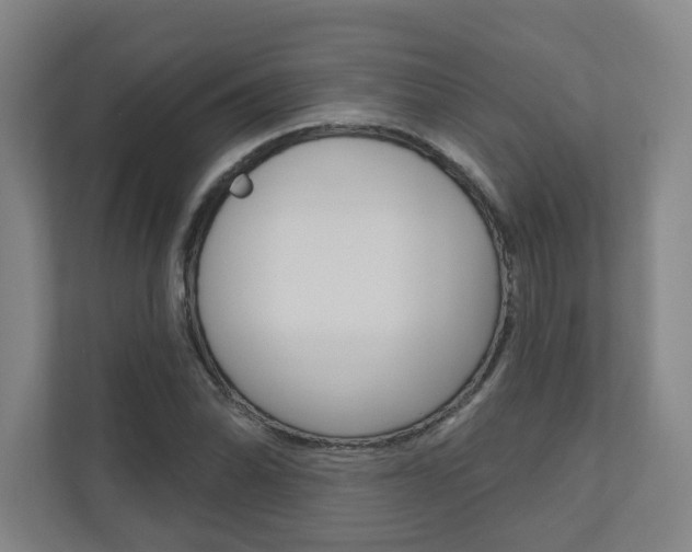 X0000110981070200906191046
