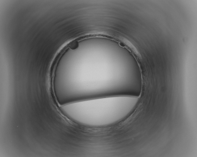 X0000110981076200906191045