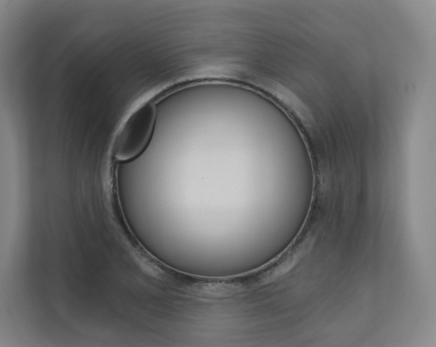 X0000110981077200906191045