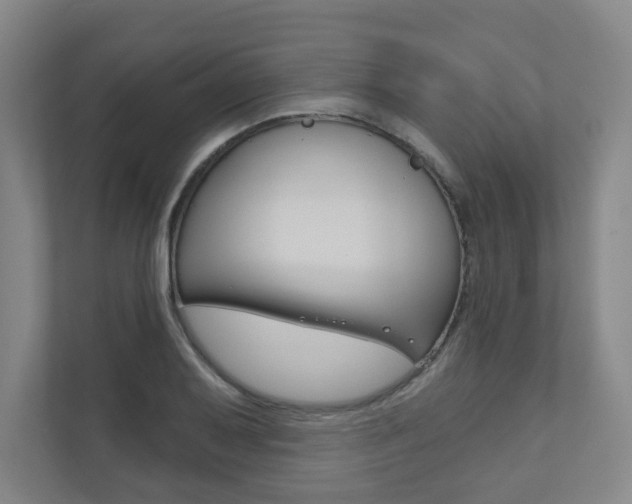 X0000110981079200906191045