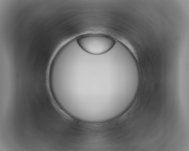 X0000110981080200906191045