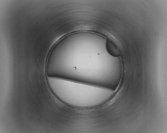 X0000110981081200906191045