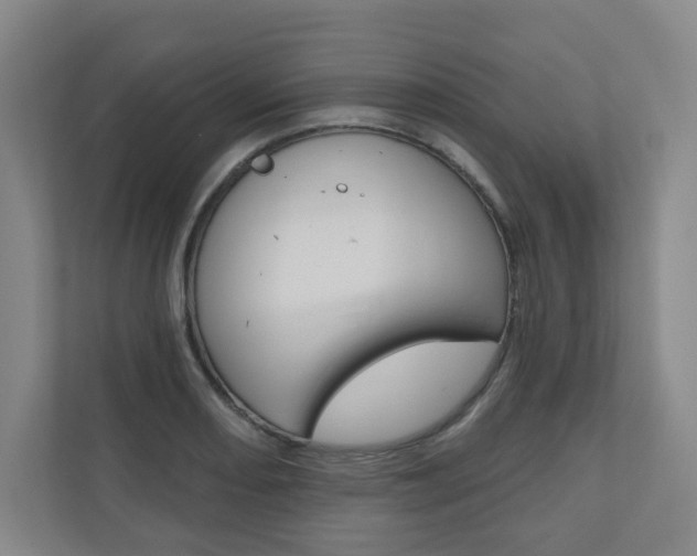 X0000110981082200906191045