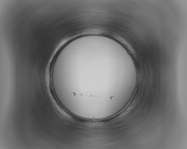 X0000110981083200906191045