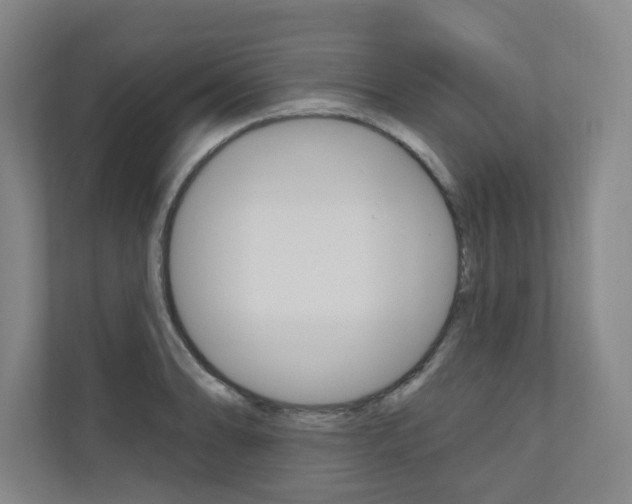 X0000110981086200906191045
