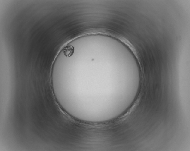 X0000110981089200906191045
