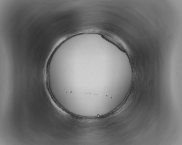 X0000110981095200906191045