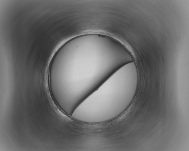 X0000110981102200906191045