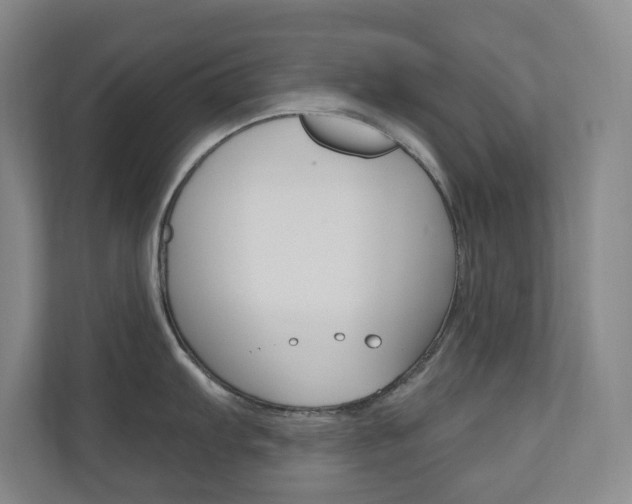 X0000110981103200906191045