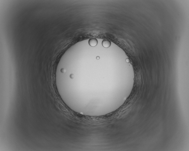 X0000110981105200906191044