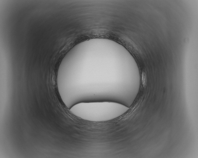 X0000110981107200906191045