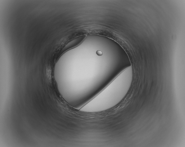 X0000110981108200906191045