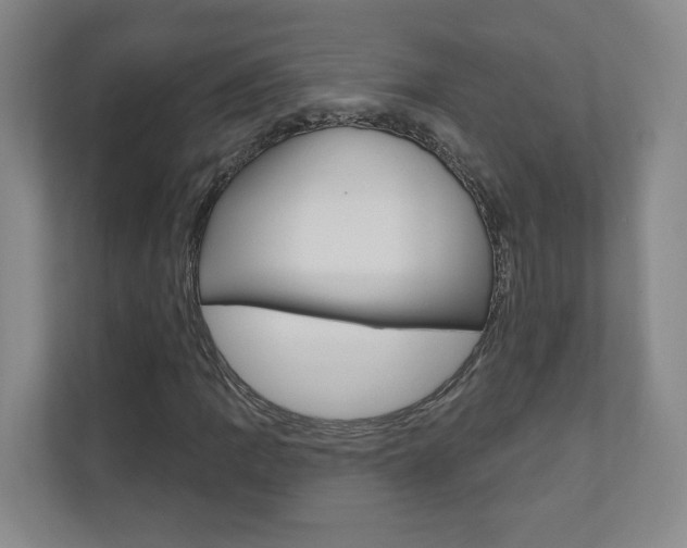 X0000110981109200906191045