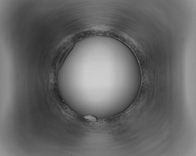 X0000110981110200906191045
