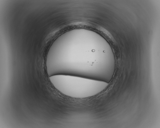X0000110981111200906191045