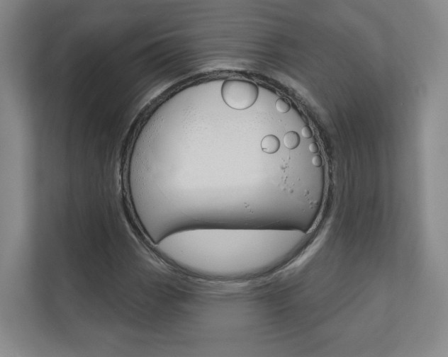 X0000110981113200906191045