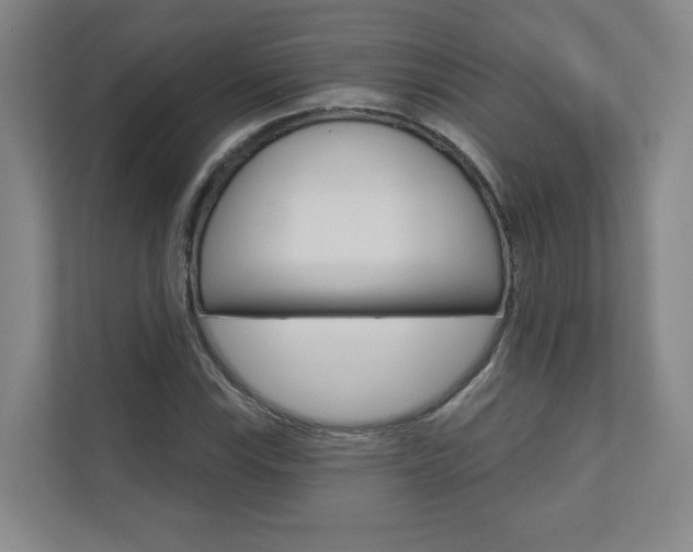 X0000110981115200906191045