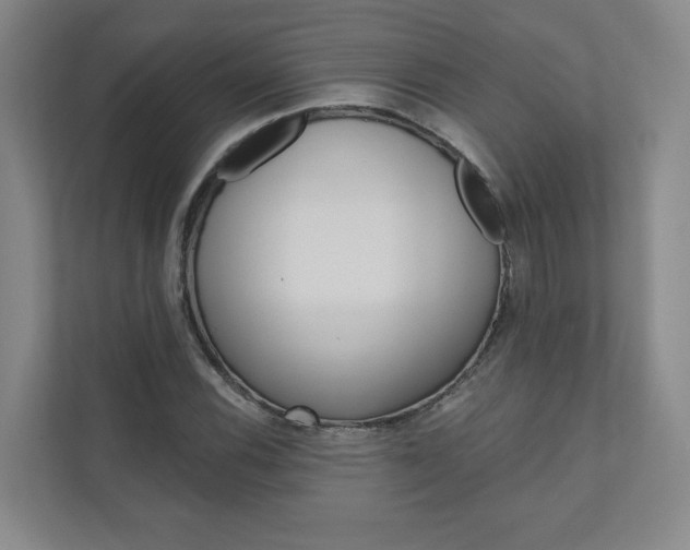 X0000110981116200906191045
