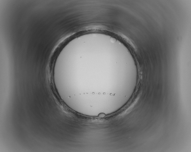 X0000110981117200906191045