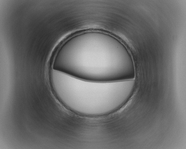 X0000110981118200906191045