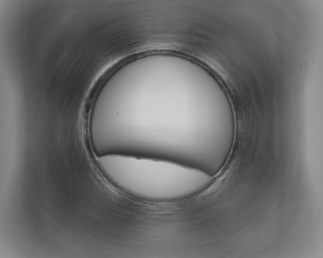 X0000110981119200906191045