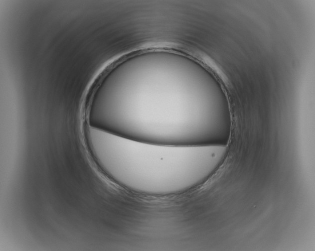 X0000110981124200906191045