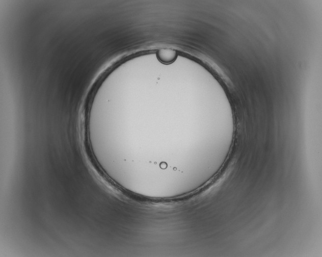 X0000110981126200906191045