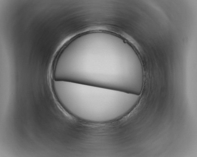 X0000110981127200906191045