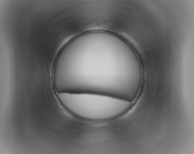 X0000110981129200906191045