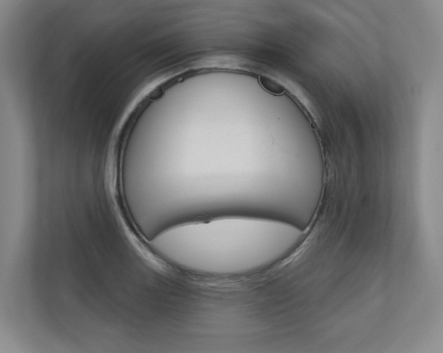 X0000110981131200906191045