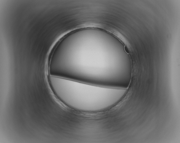 X0000110981132200906191045