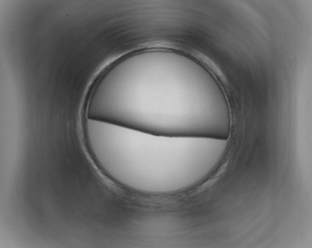 X0000110981133200906191045