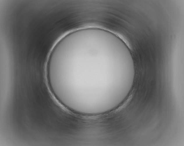 X0000110981134200906191045