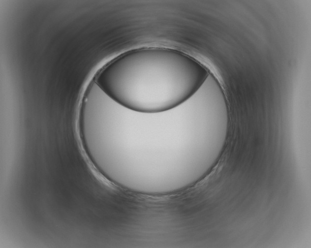 X0000110981136200906191045