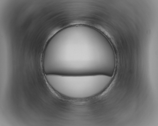 X0000110981137200906191045