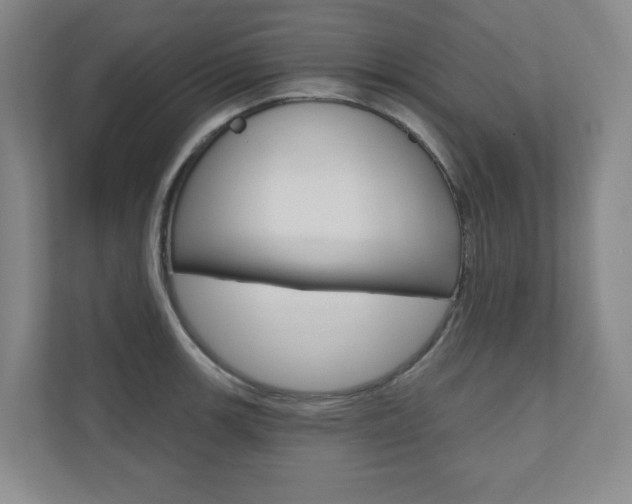 X0000110981139200906191045