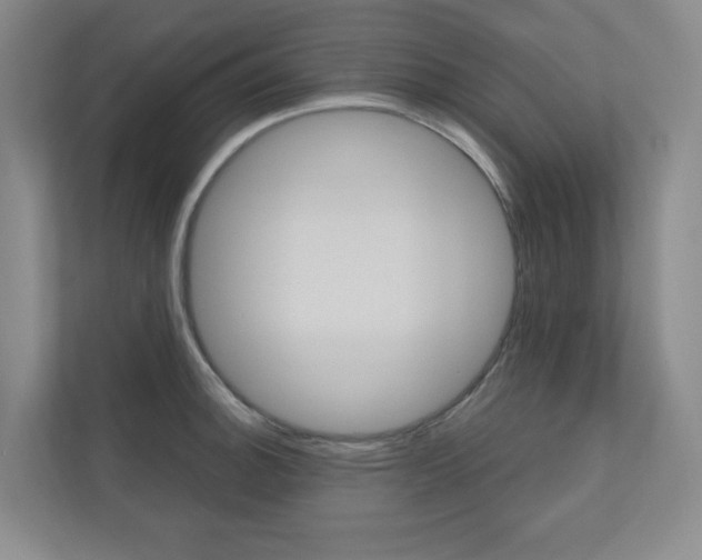 X0000110981140200906191045