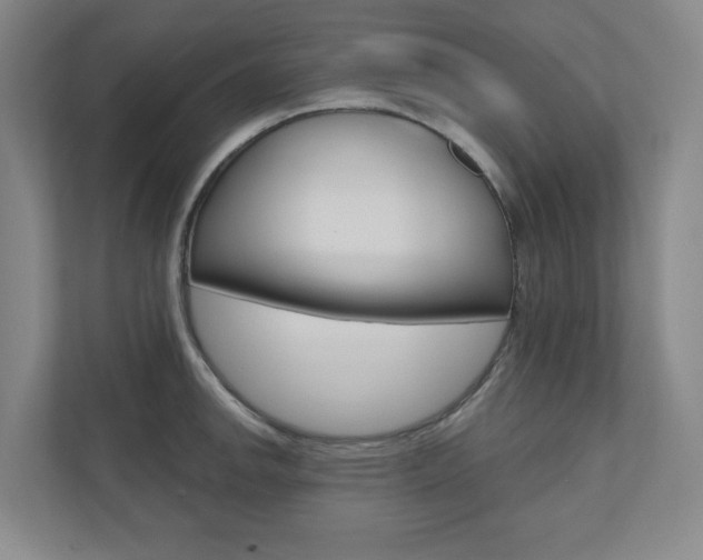 X0000110981142200906191045